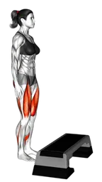 Step-up su stepbox a corpo libero