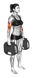 Hammer curl alternato con bottiglia zavorrata