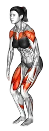 Cerchi rimbalzanti