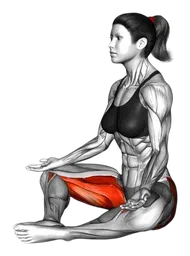Posizione dell'angolo rilegato (baddha konasana)