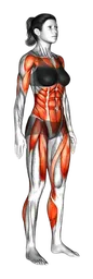 Burpee