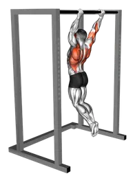 Butterfly pull-up