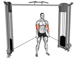 Hammer curl incrociato ai cavi