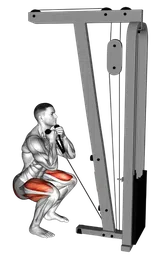 Front squat ai cavi (variante 2)