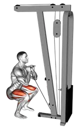 Front squat ai cavi con V-bar