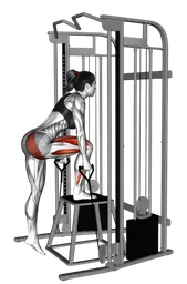 Step-up gluteo dominante ai cavi