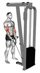 Hammer curl ai cavi (con corda)