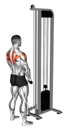 High pull ai cavi con corda