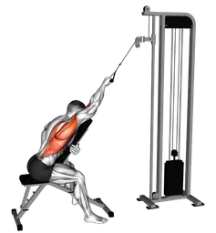 Lat pulldown a un braccio su panca inclinata ai cavi