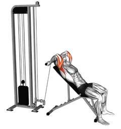 Skull crusher su panca inclinata ai cavi