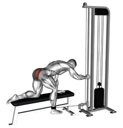 Glute kickback in ginocchio ai cavi