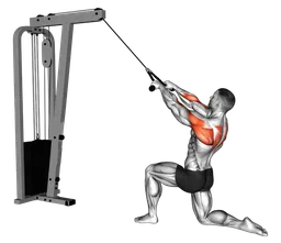 Rear delt row in ginocchio ai cavi (con corda)