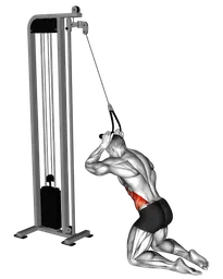 Side crunch in ginocchio ai cavi