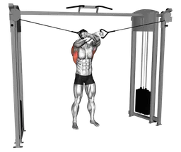 Lat pulldown ai cavi full range of motion
