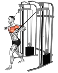 Chest press bassa ai cavi