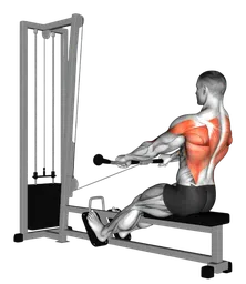 Low seated row ai cavi
