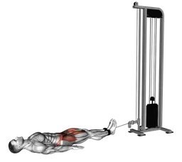 Flessione dell'anca da sdraiato ai cavi (reverse squat)