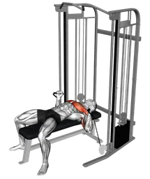 Chest press presa neutra ai cavi