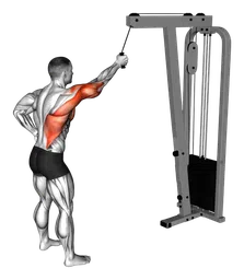 Pulldown a un braccio ai cavi
