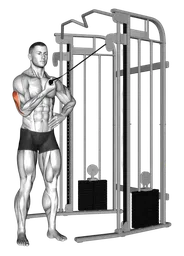 Pushdown tricipiti laterale a un braccio ai cavi