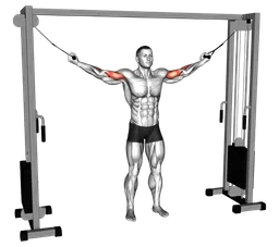 Curl overhead ai cavi