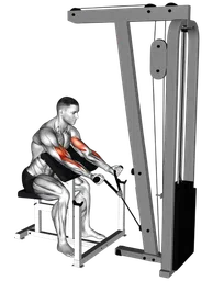 Preacher curl con fune ai cavi