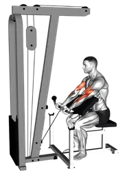 Preacher curl ai cavi