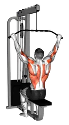 Pulldown ai cavi (sbarra pro lat)