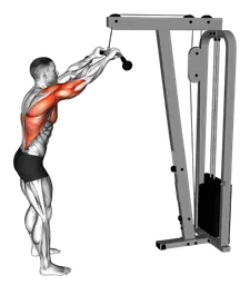 Pushdown a braccia tese ai cavi (variante 2)