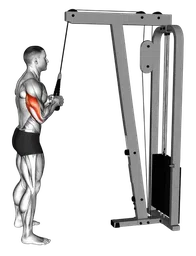 Pushdown con fune ai cavi