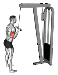 Pushdown ai cavi