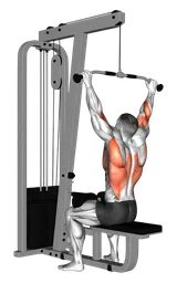 Pulldown dietro ai cavi