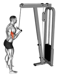 Pushdown a presa inversa ai cavi