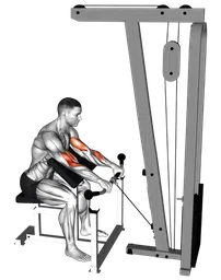 Preacher curl inverso ai cavi