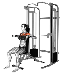 Chest press da seduto ai cavi