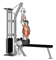 High row da seduto ai cavi (con V-bar)