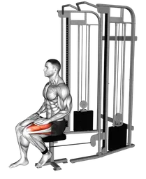 Leg extension da seduto ai cavi