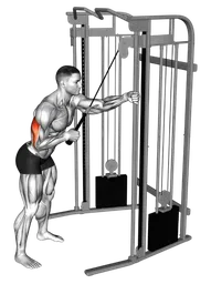 Pushdown per tricipiti a un braccio ai cavi (con corda)