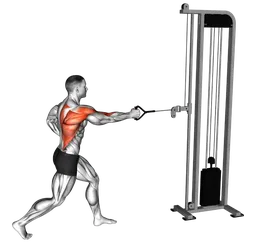 Row a un braccio in split stance ai cavi