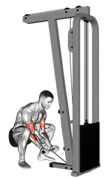 Squatting curl ai cavi