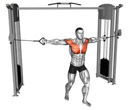 Chest fly alternato in piedi ai cavi