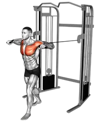 Chest press in piedi ai cavi