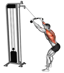 Lat pulldown in piedi ai cavi