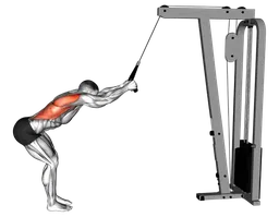 Lat pushdown in piedi ai cavi (con corda)