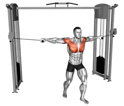 Fly presa neutra in piedi ai cavi