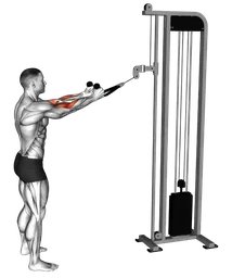 Pulldown in piedi ai cavi (con corda)