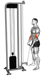 Reverse grip curl in piedi ai cavi (bilanciere dritto)
