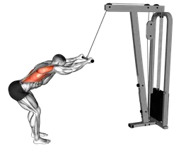 Pulldown a braccia tese ai cavi (variante 2)