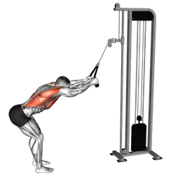 Pulldown a braccia tese ai cavi (con corda)