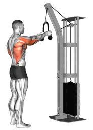 Pulldown a braccia tese ai cavi (con corda) (Macchina a cavi con carrucola)